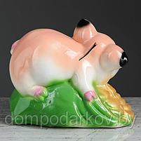 Копилка "Свинка на монетах" персиковый глянец, фото 9