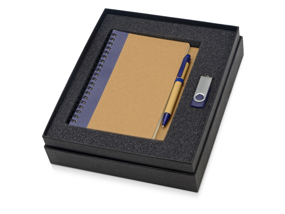 Подарочный набор Essentials с флешкой и блокнотом А5 с ручкой, синий - фото 1 - id-p89974580