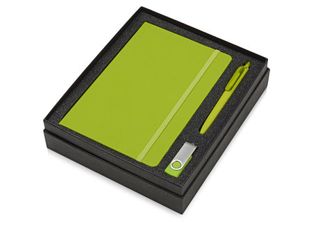 Подарочный набор Vision Pro Plus soft-touch с флешкой, ручкой и блокнотом А5, зеленый, фото 2