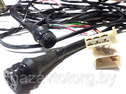 Проводка ГАЗ-3302 дв.ЗМЗ-402,406 жгут по раме к задним фон. Н/О под выносной насос топливный, 3302-3724030-05, фото 2