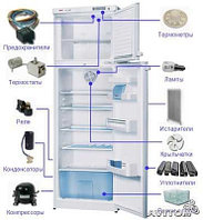 Запасные части и комплектующие к холодильникам в Гродно