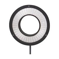 O2D919 - RINGLIGHT 106x66 W/0,3M/US