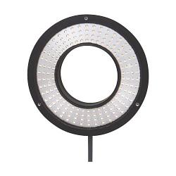 O2D919 - RINGLIGHT 106x66 W/0,3M/US