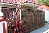 Забор из лозы для клумбы, палисадника,цветника, фото 7