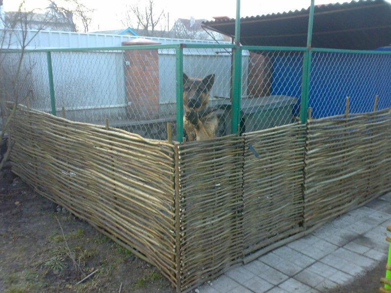 Забор плетень лоза