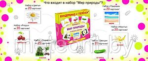 Набор карточек Домана. Вундеркинд с пеленок "Мир природы" №2