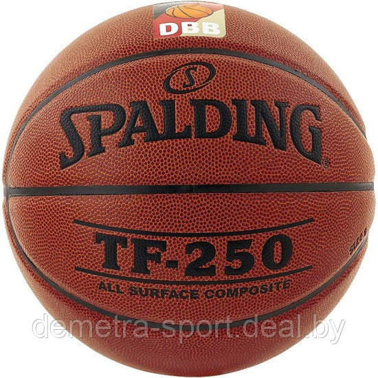 Баскетбольный мяч Spalding TF 250 DBB - фото 3 - id-p90399288