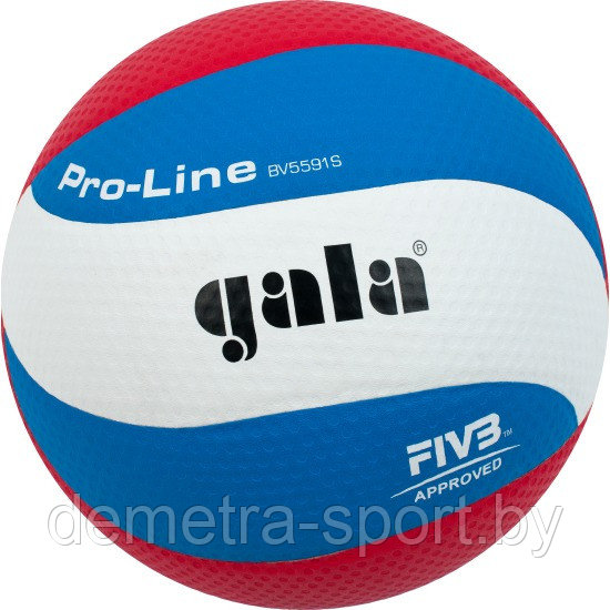 Волейбольный мяч Gala® "Pro Line"