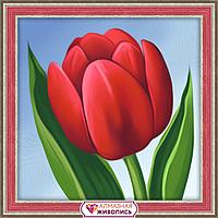 Картина стразами "Красный тюльпан"