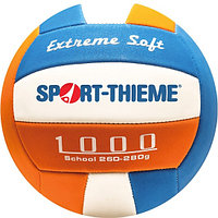 Волейбольный мяч Sport-thieme "School 1000"