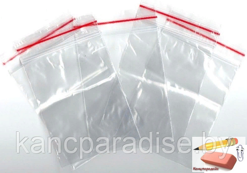 Пакет с застежкой ZipLock 200х300 мм., 100 штук - фото 1 - id-p90732745