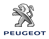 Камеры на Peugeot