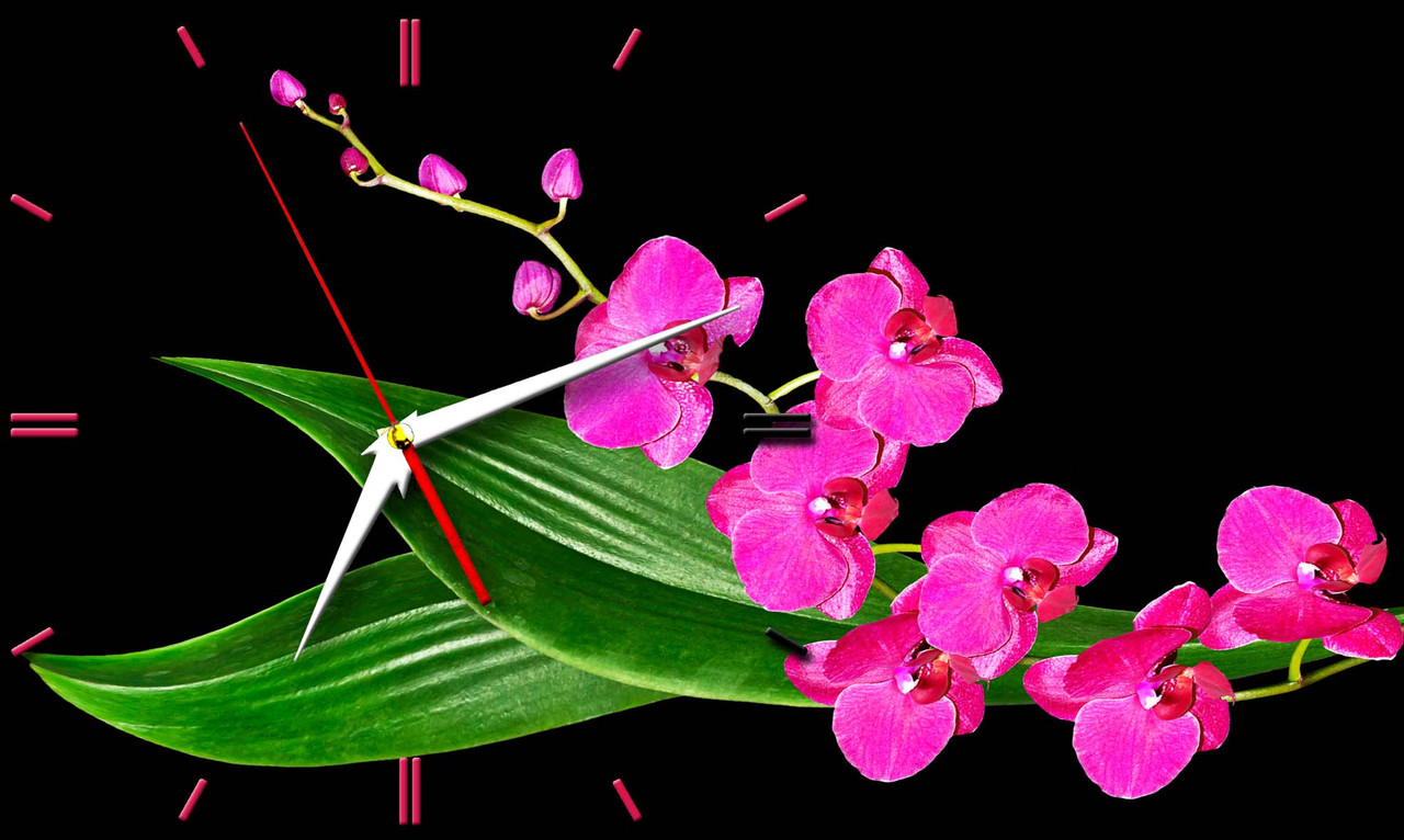 Настенные часы из стекла " Ветка  пурпурной орхидеи" арт.148