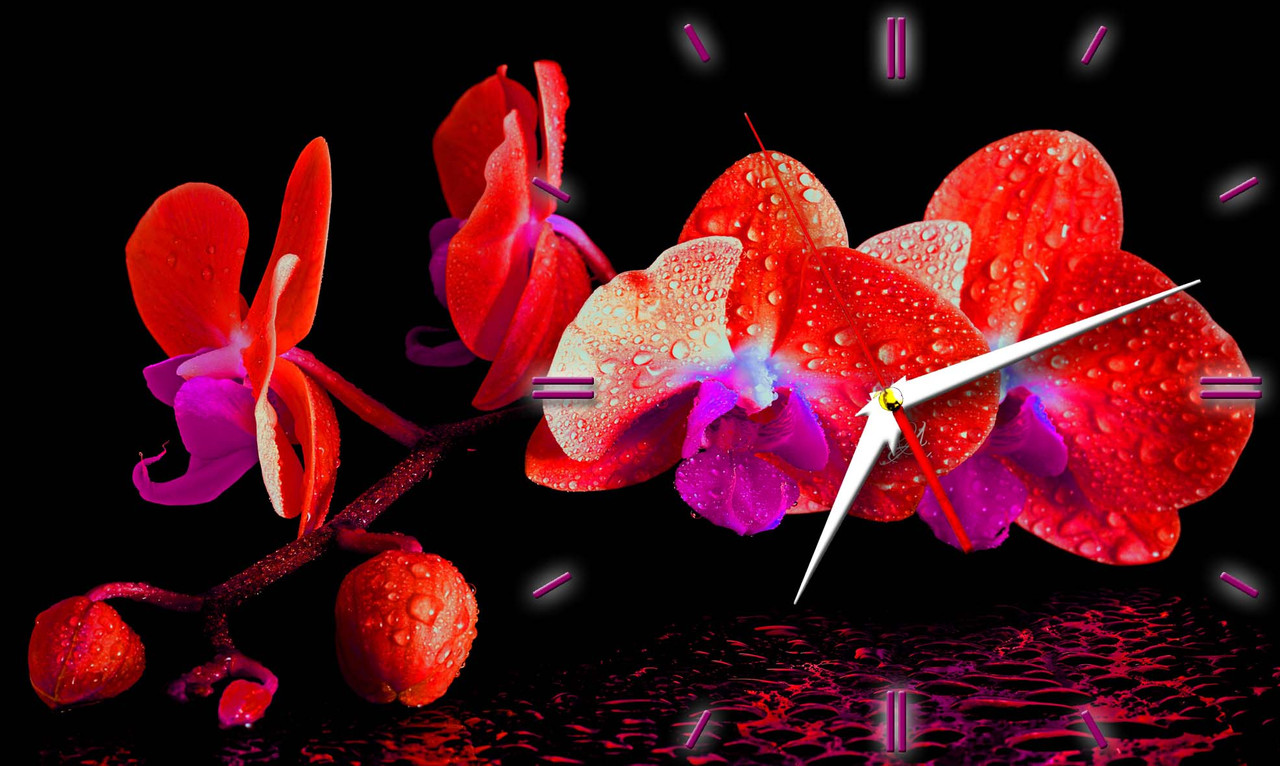 Настенные часы из стекла " Красная орхидея с каплями" арт.174