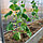 Грядка оцинкованная "Урожайная" (9 х 1 метр)																										, фото 6