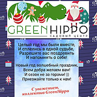 С Новым Годом!!!