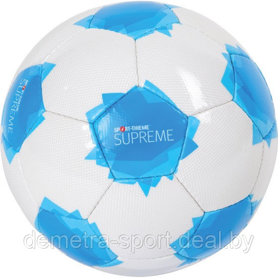 Мяч для футбола Sport-Thieme "Supreme" - фото 1 - id-p91379627