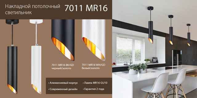 Новинка! Накладные потолочные светильники 7011 MR16