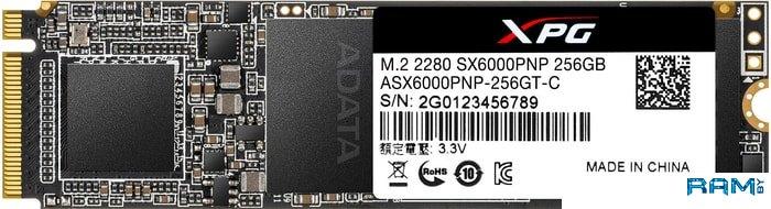 SSD A-Data XPG SX6000 Pro 256GB ASX6000PNP-256GT-C - фото 1 - id-p91612787