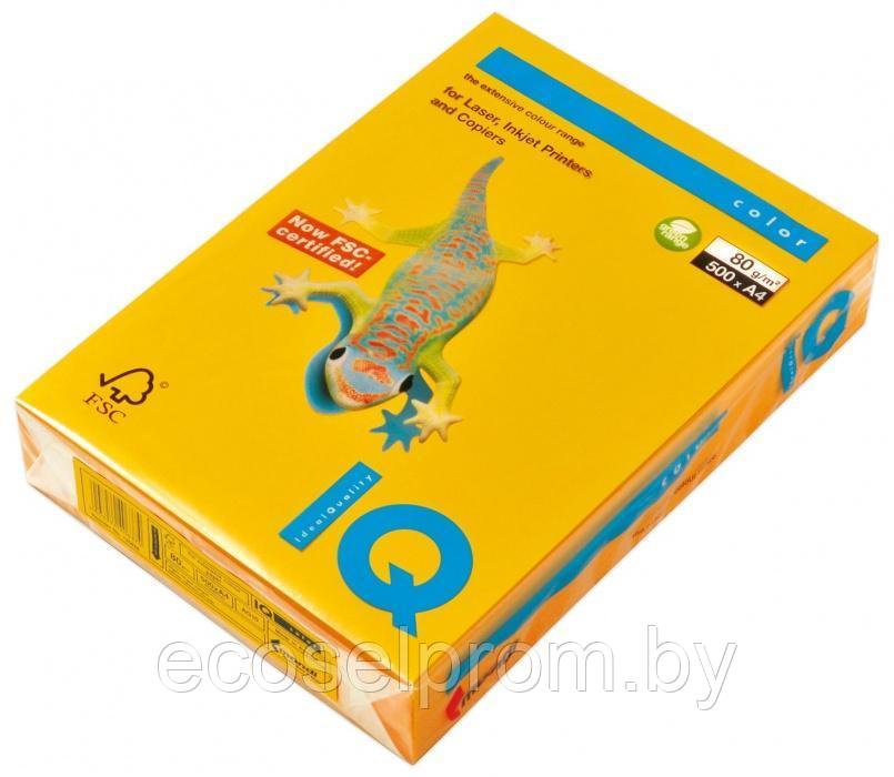 IG50 Бумага цветная IQ COLOR, горчичный, 80 г/м2, А4, 500 л