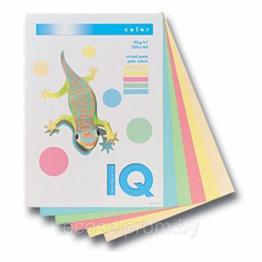 RB01 Бумага цветная IQ COLOR, набор/пастель, 80 г/м2, А4, 250 л - фото 1 - id-p91617807