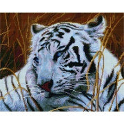 Картина из страз Бенгальский тигр 40х50 см, фото 2