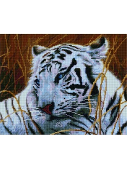 Картина из страз Бенгальский тигр 40х50 см - фото 2 - id-p91619915