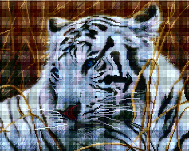 Картина из страз Бенгальский тигр 40х50 см - фото 3 - id-p91619915
