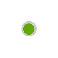 Гелевый краситель Мятный зелёный Chefmaster (Америка, 28.35 гр)