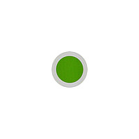 Гелевый краситель Зеленый лист Chefmaster (Америка, 28.35 гр)