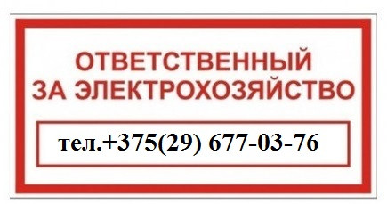 Ответственный за электрохозяйство должен иметь группу