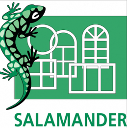 Salamander