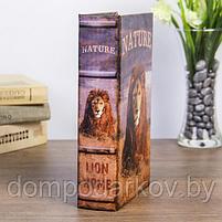 Сейф-книга дерево "Природа льва" кожзам 21х13х5 см, фото 4