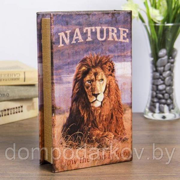 Сейф-книга дерево "Природа льва" кожзам 21х13х5 см - фото 5 - id-p91810055