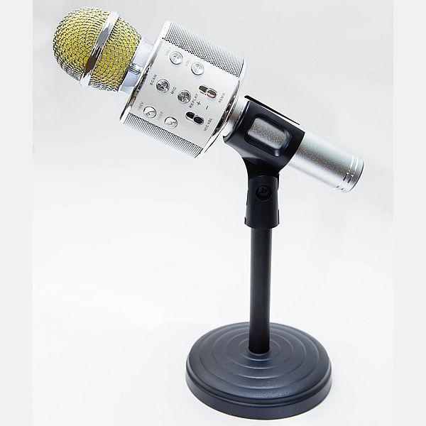 Караоке микрофон WSTER WS-858 с изменением голоса (серебро) - фото 1 - id-p90452263