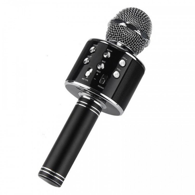 Караоке микрофон WSTER WS-858 с изменением голоса (черный) - фото 1 - id-p91843266