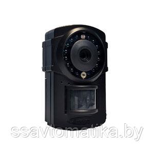 Фотоловушка BG500L-HD - фото 1 - id-p91845702