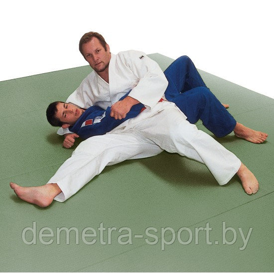 Татами для дзюдо (400х300х4) см