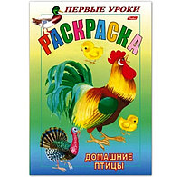 Книжка-раскраска Первые уроки "Домашние птицы", Хатбер