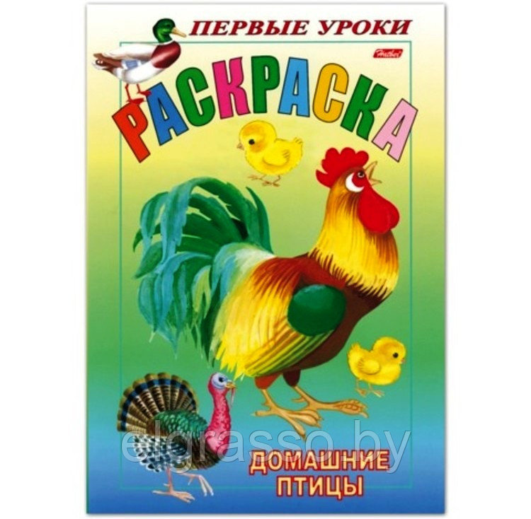 Книжка-раскраска Первые уроки "Домашние птицы", Хатбер - фото 1 - id-p91885653