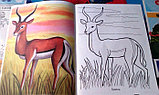Книжка-раскраска Первые уроки "Животные жарких стран", Хатбер, фото 4