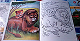 Книжка-раскраска Первые уроки "Животные жарких стран", Хатбер, фото 5