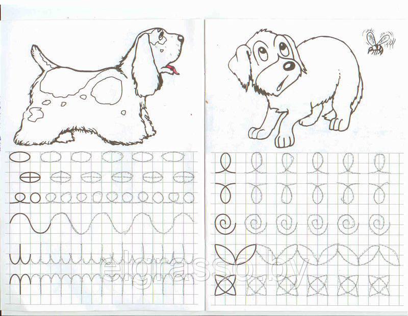 Пропись-раскраска. Готовимся к школе, А4, Проф-пресс - фото 4 - id-p91897958