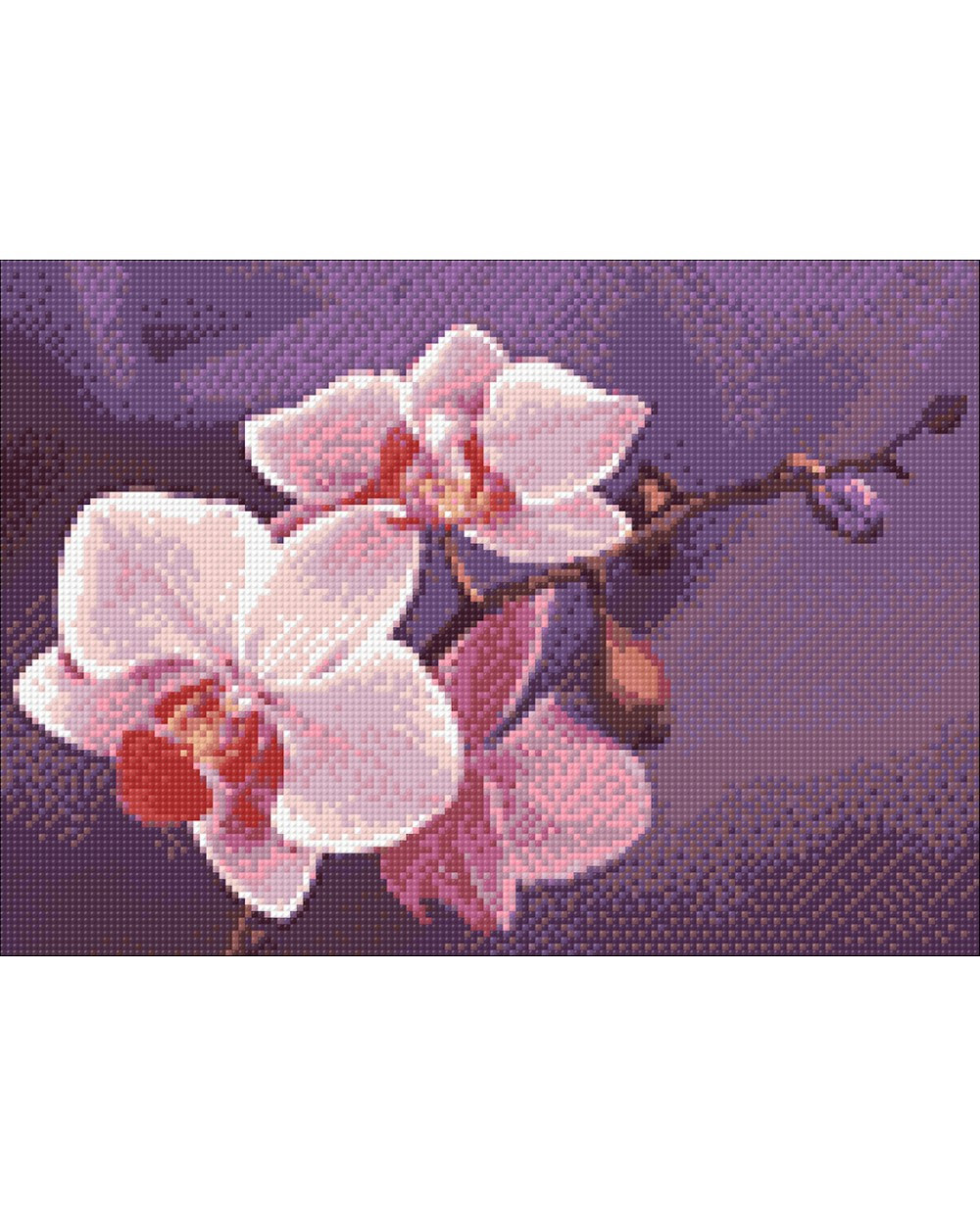 Набор Алмазной мозаики "Ветвь Орхидеи"