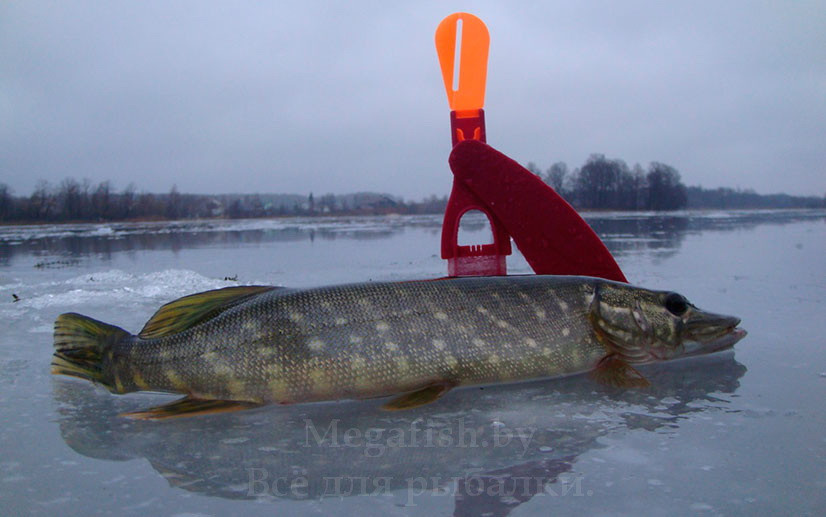 Набор жерлиц A-ELITA неоснащенных (6шт) - фото 3 - id-p92069637