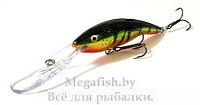 Воблер Rapala Deep Tail Dancer TDD09 (13гр 9см 2.5-6.0м) floating FLP