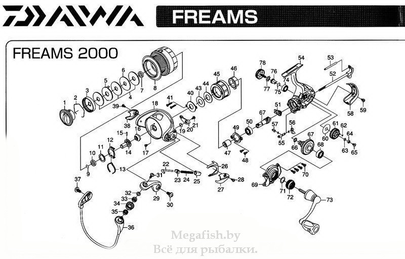 Катушка безынерционная Daiwa Freams 11 2000 - фото 8 - id-p92078050