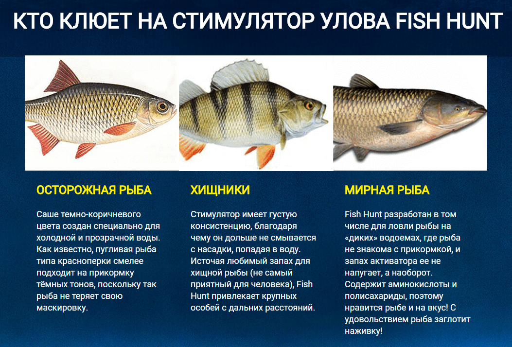 Жидкий активатор клева - FISH HUNT - фото 3 - id-p92139462