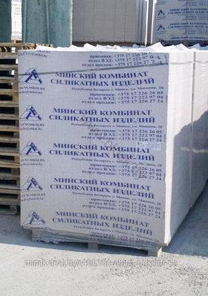 Газосиликатные блоки 1 категории 625x200x249 в стрейч-худе МКСИ D600, фото 2