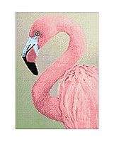 Набор Алмазной мозаики "Розовый фламинго"